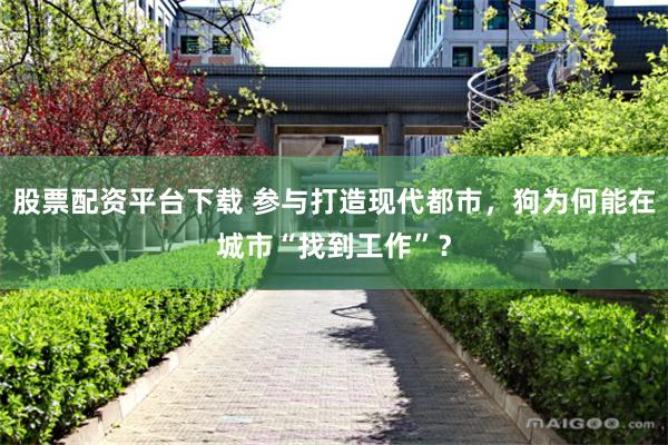 股票配资平台下载 参与打造现代都市，狗为何能在城市“找到工作”？