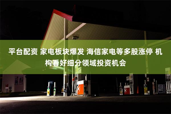 平台配资 家电板块爆发 海信家电等多股涨停 机构看好细分领域投资机会