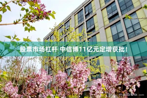 股票市场杠杆 中信博11亿元定增获批！