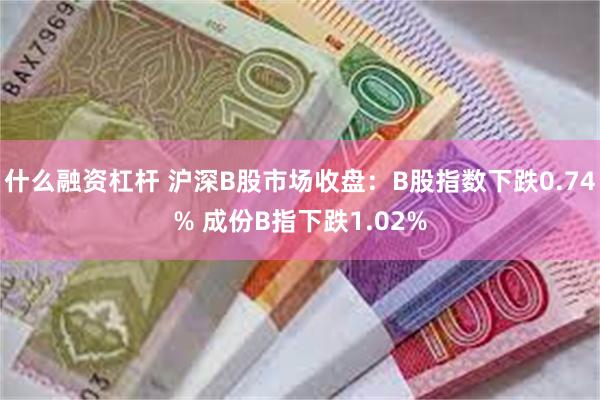 什么融资杠杆 沪深B股市场收盘：B股指数下跌0.74% 成份B指下跌1.02%