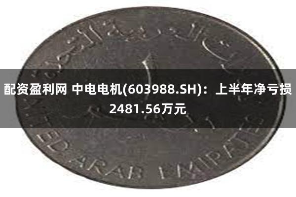 配资盈利网 中电电机(603988.SH)：上半年净亏损2481.56万元