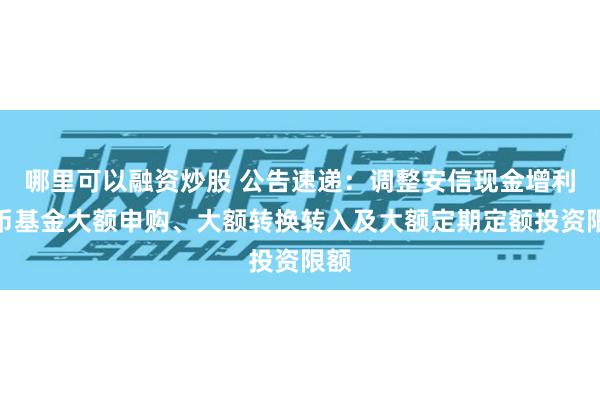 哪里可以融资炒股 公告速递：调整安信现金增利货币基金大额申购、大额转换转入及大额定期定额投资限额