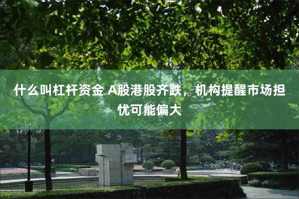 什么叫杠杆资金 A股港股齐跌，机构提醒市场担忧可能偏大