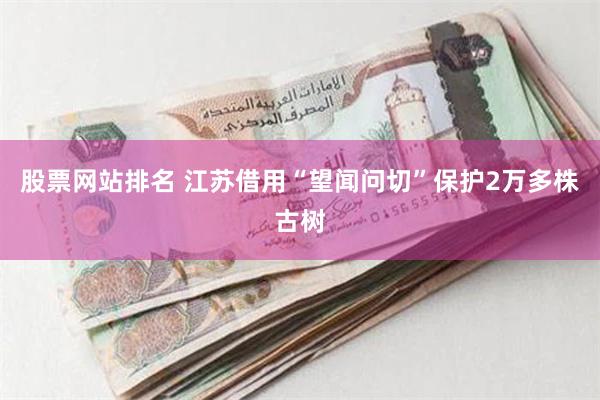 股票网站排名 江苏借用“望闻问切”保护2万多株古树