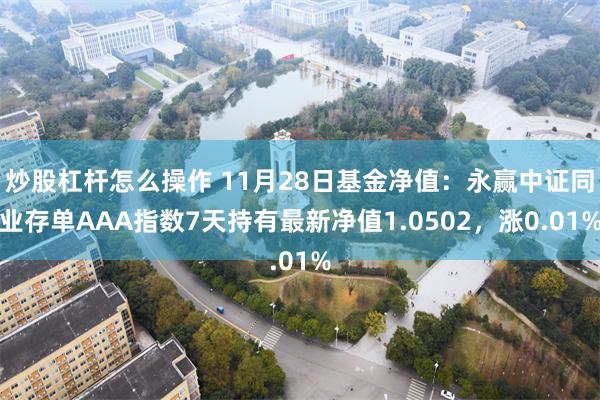 炒股杠杆怎么操作 11月28日基金净值：永赢中证同业存单AAA指数7天持有最新净值1.0502，涨0.01%