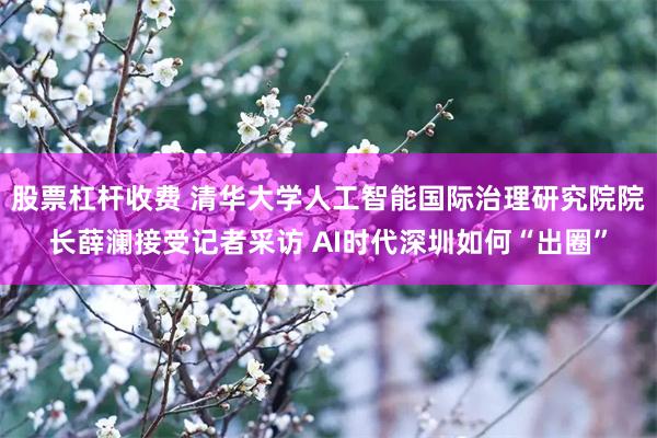 股票杠杆收费 清华大学人工智能国际治理研究院院长薛澜接受记者采访 AI时代深圳如何“出圈”