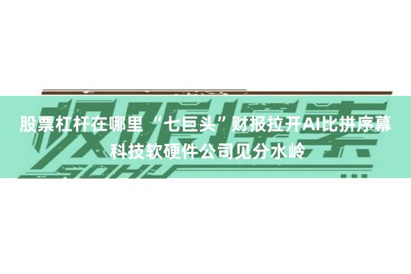 股票杠杆在哪里 “七巨头”财报拉开AI比拼序幕 科技软硬件公司见分水岭