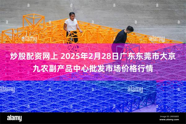 炒股配资网上 2025年2月28日广东东莞市大京九农副产品中心批发市场价格行情